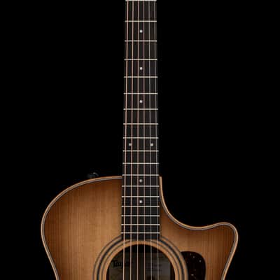Taylor 314ce Studio - Shaded Edgeburst #05153 image 5