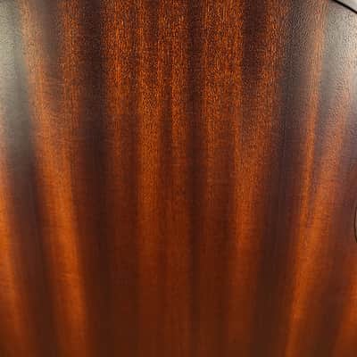 Eastman E1SS-SB 2023 image 8