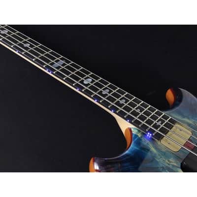 ALEMBIC SCSB4 Buckeye Resin [Stanley Clark Signature Deluxe w/Side LED's Blue] image 8