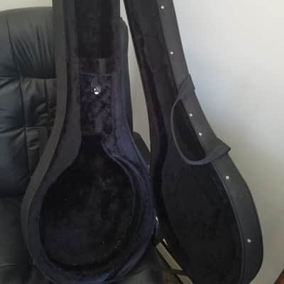 Hohner 5 string banjo image 7