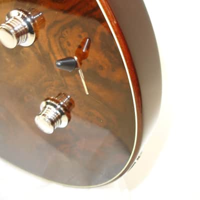 2007 Taylor Solidbody Walnut Electric Guitar, Natural w/ Case image 7