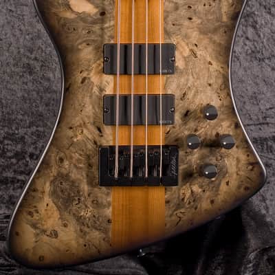 Spector US Custom Shop 4X Black Burst image 2