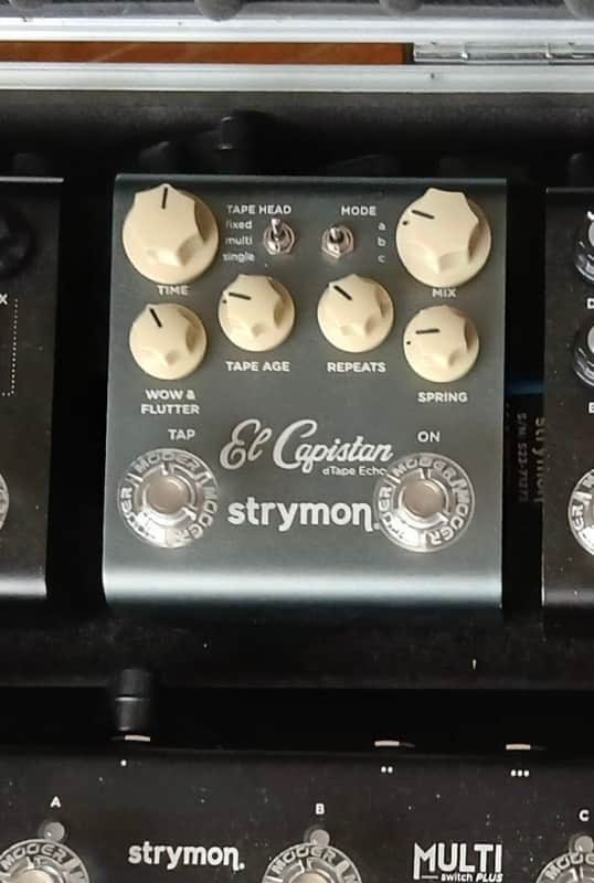 Strymon El Capistan V2 2022 - Present - Grey image 1