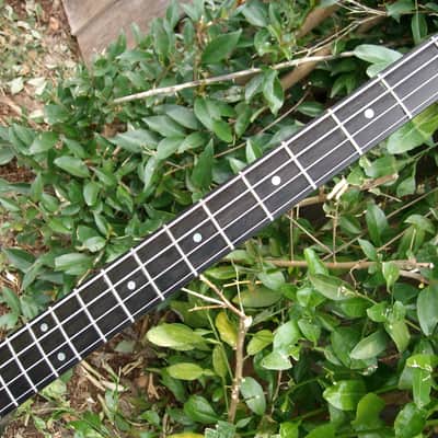 ESP Bass Built Brian Wheat of TESLA Thunderbird Bass THE REAL DEAL !! image 10