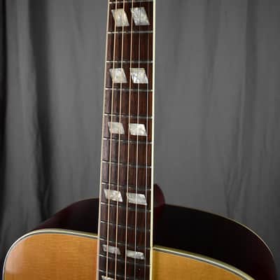 1977 Alvarez 5024 Dove image 13