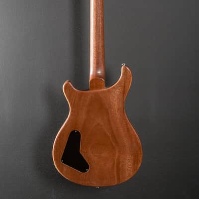 Paul Reed Smith Paul's Guitar '21 image 5