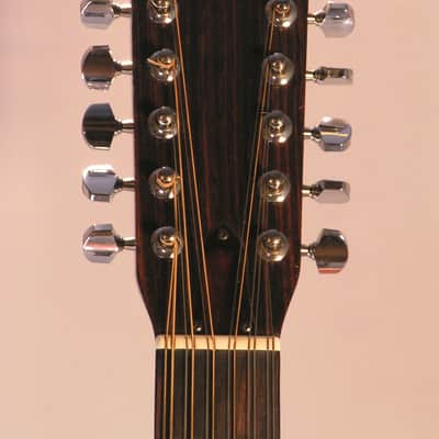 FENDER 12 cordes F55-12 de 1980 image 3
