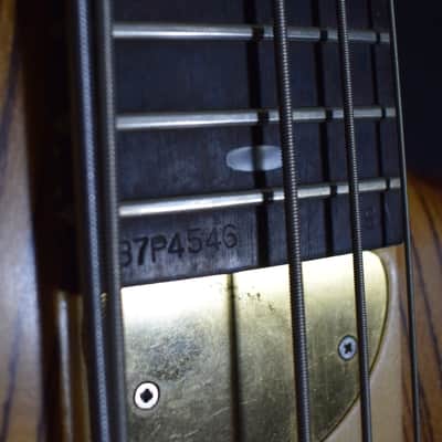 Alembic Persuader 1987 Zebrawood Top / Mahogany Body image 11