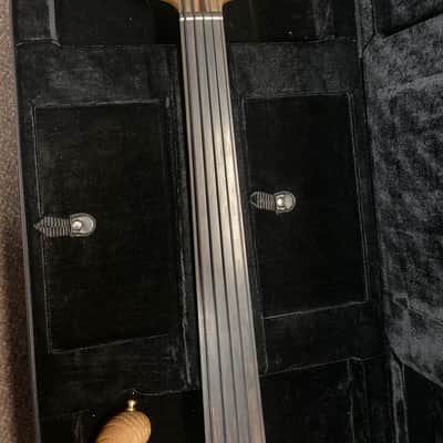 Ritter "The Stone Age Roya" 5 string Fretless Bass image 3