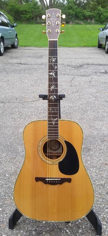 Alvarez Pd100 N professionalTree of life solid top acoustic