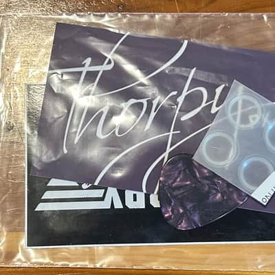 ThorpyFX Veteran (Silicon) V2 Fuzz 2018 - Silver/Gray image 8