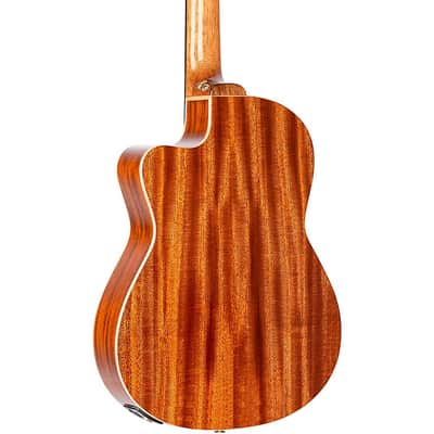 Ortega RCE138-T4 Thinline Acoustic-Electric Nylon Guitar Regular High Gloss Natural image 2