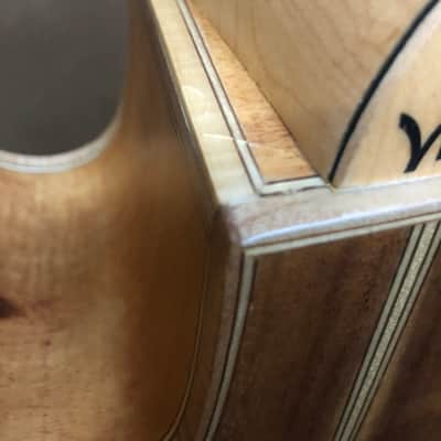 Washburn WJ55SCENS 2015 Jumbo Acoustic/Electric - Natural/Matte image 21