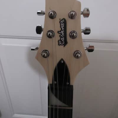 ~Cashner~ !!!Destroyer!!! Electric Guitar image 12