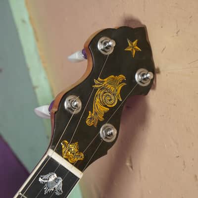 2010s Eastman Whyte Laydie-Style 5-String Openback Banjo (VIDEO! Fresh Work, Ready) image 3