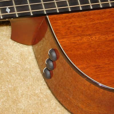 Taylor 514ce-L10 Acoustic/Electric Guitar*Fall Limited Edition