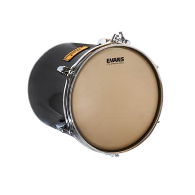 Evans Strata 1000 Snare Drum Batter Head | 14" image 2