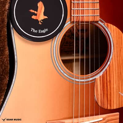Headway Acoustic guitar The Eagle TWC/ATB Type D  - TLP-HGR(Tulip Half Gradation) #A04141 - 2.1kg image 11