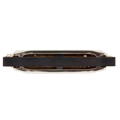 Hohner Special 20 D image 2