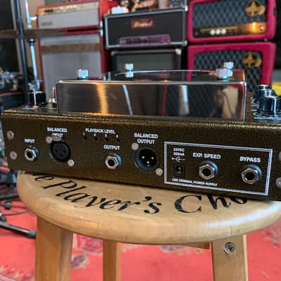 T-Rex Binson Echorec imagen 10