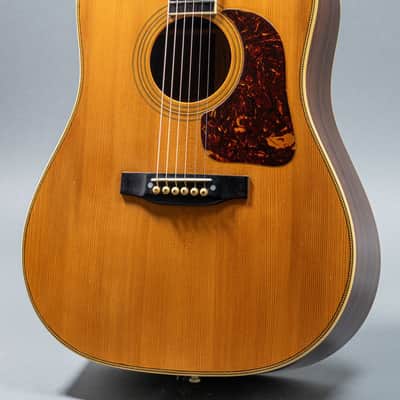 Gallagher G-70 1971, Natural image 2