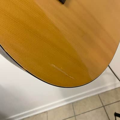 Mitchell T313CE/N Acoustic-Electric Guitar - Solid Spruce Top - Fishman Pickup image 9