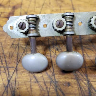 Vintage RARE 1965 Silver Plastic Buttons 6 in a line on a plate Guitar Tuners Luthier Parts image 4