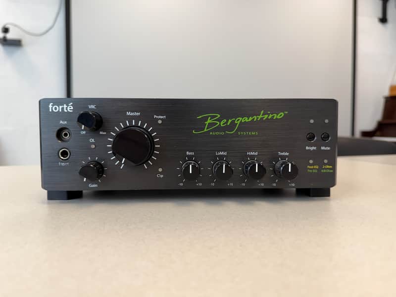 Bergantino Forte 800-Watt Bass Head 2010s - Black image 1