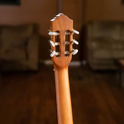 Ortega R131 Family Series Pro Solid Cedar Top Mahogany Neck Nylon 6-String Classical Acoustic Guitar w/Gig Bag image 22