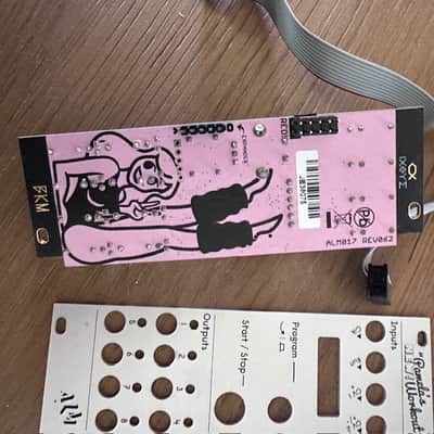 Black & Gold + Silver Pamela's NEW workout Eurorack classic ! image 6