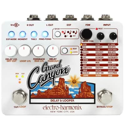 Electro-Harmonix Grand Canyon Delay and Looper image 1