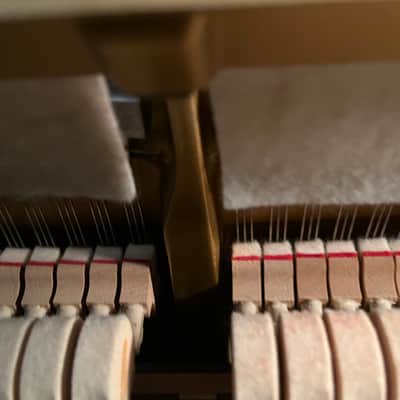 Yamaha A3847071 1985 - Ebony image 19