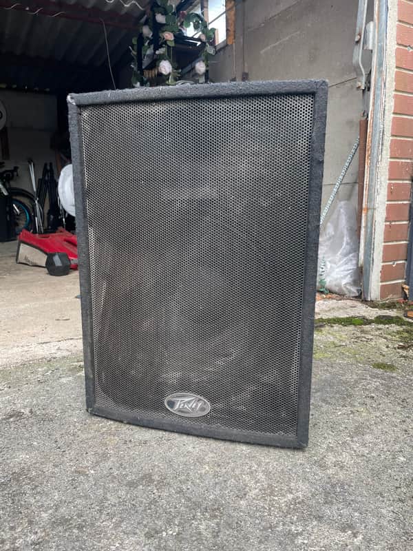 2x Peavey Pro 15 and Stands - Carpeted image 1