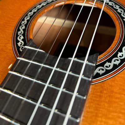 Cordoba C9 Parlor Nylon String Acoustic Guitar Natural image 12