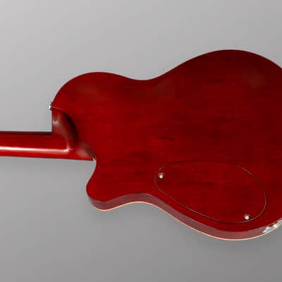 CP Thornton Guitars Professional - Darkburst w/ 5A Flame Maple Top. NEW (Authorized Dealer) image 10