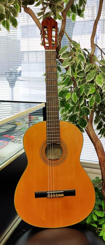 Enrique Tapicas C40 Cadiz Classical Guitar by Washburn - Natural image 1