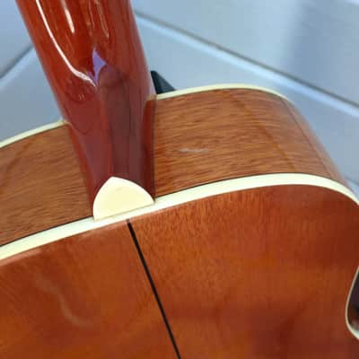 Octave Mandolin/8-String Tenor Converted Mitchell Travel Guitar, Solid Top image 7