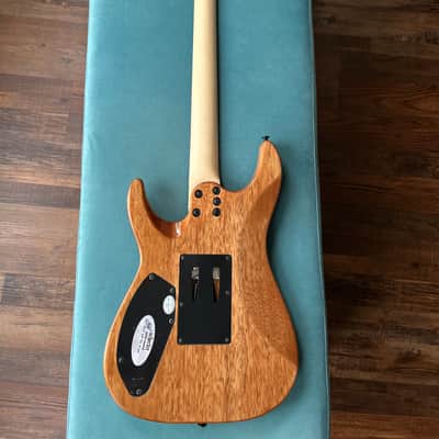 Schecter C-6 Pro FR Aurora Burst Ultra Burl image 6