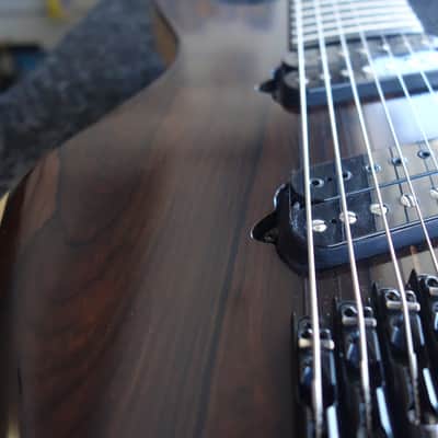Ormsby Guitars Goliath Custom Shop 7 String image 14