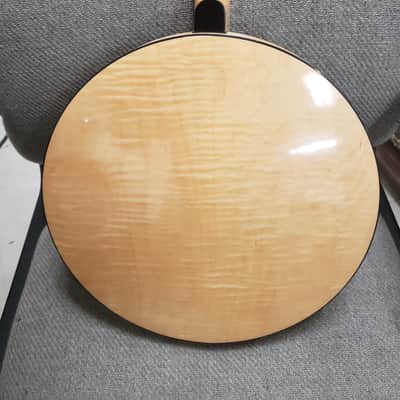 Vintage Richelieu Banjo image 6