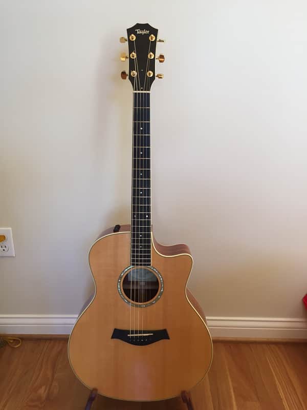 Taylor 516ce-LTD (Spring Limited) 2010 Tasmanian Blackwood/Sitka image 1