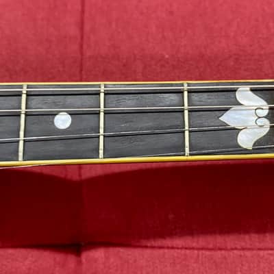 Vega Vegaphone Professional Tenor Banjo 1924 w/ Original Case image 8