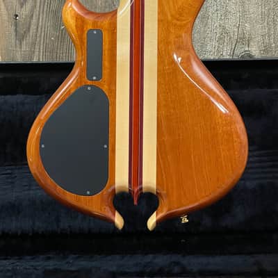 Alembic "Little Darling" Custom ILG6 2006 Natural image 3