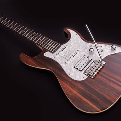 Michael Kelly 1965 Ebony Custom Collection, EPIC ELEVEN MOD, Striped Ebony Top, Swamp Ash Body image 1