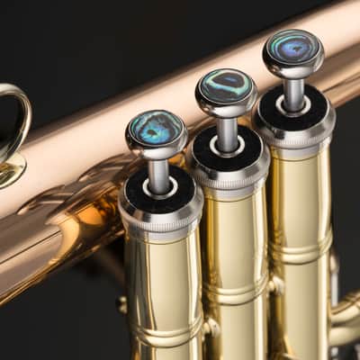 John Packer JP275SWST Key of Bb Flugel Horn w/Pro Case, Mouthpiece & Ultra Pure Valve Oil image 2