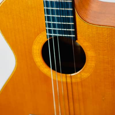 Rare Taylor NS52ce (2003) – Jason Mraz Spec – USA Made – Fishman image 10