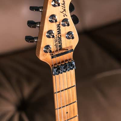 Ernie Ball Music Man - 2013 - Silhouette HH Floyd, Pre-Owned image 6