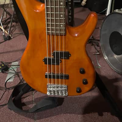 Alvarez 5 string bass 2006 - Natural image 1