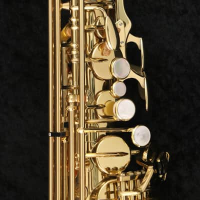YANAGISAWA Yanagisawa Alto A-901 GP Neck Alto Saxophone (05/25