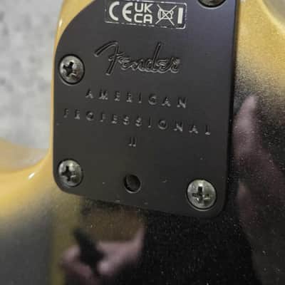 Fender American Professional II Stratocaster HSS HT 2024 - Eclipse image 6